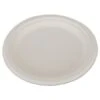 ChampWare Heavyweight White Bagasse Plate, 9", 500/Carton