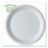 Eco-Products Vanguard Renewable And Compostable Sugarcane Plates, 10", 500/Carton