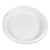 Hi-Impact Plastic Dinnerware, Plate, 10" Diameter, White, 500/Carton