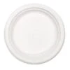 Chinet Classic White Dinnerware Plate, 8 3/4" Dia, 500/Carton