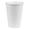 Dixie PerfecTouch Hot/Cold Cups, 12 Oz., 1000/Carton